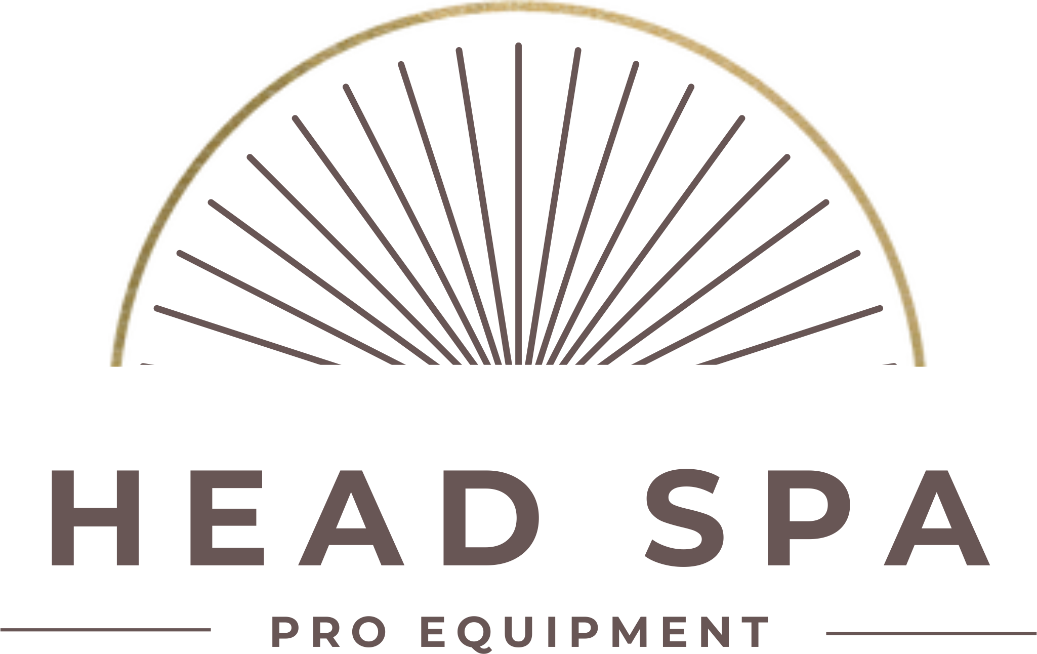 Pro Head Spa